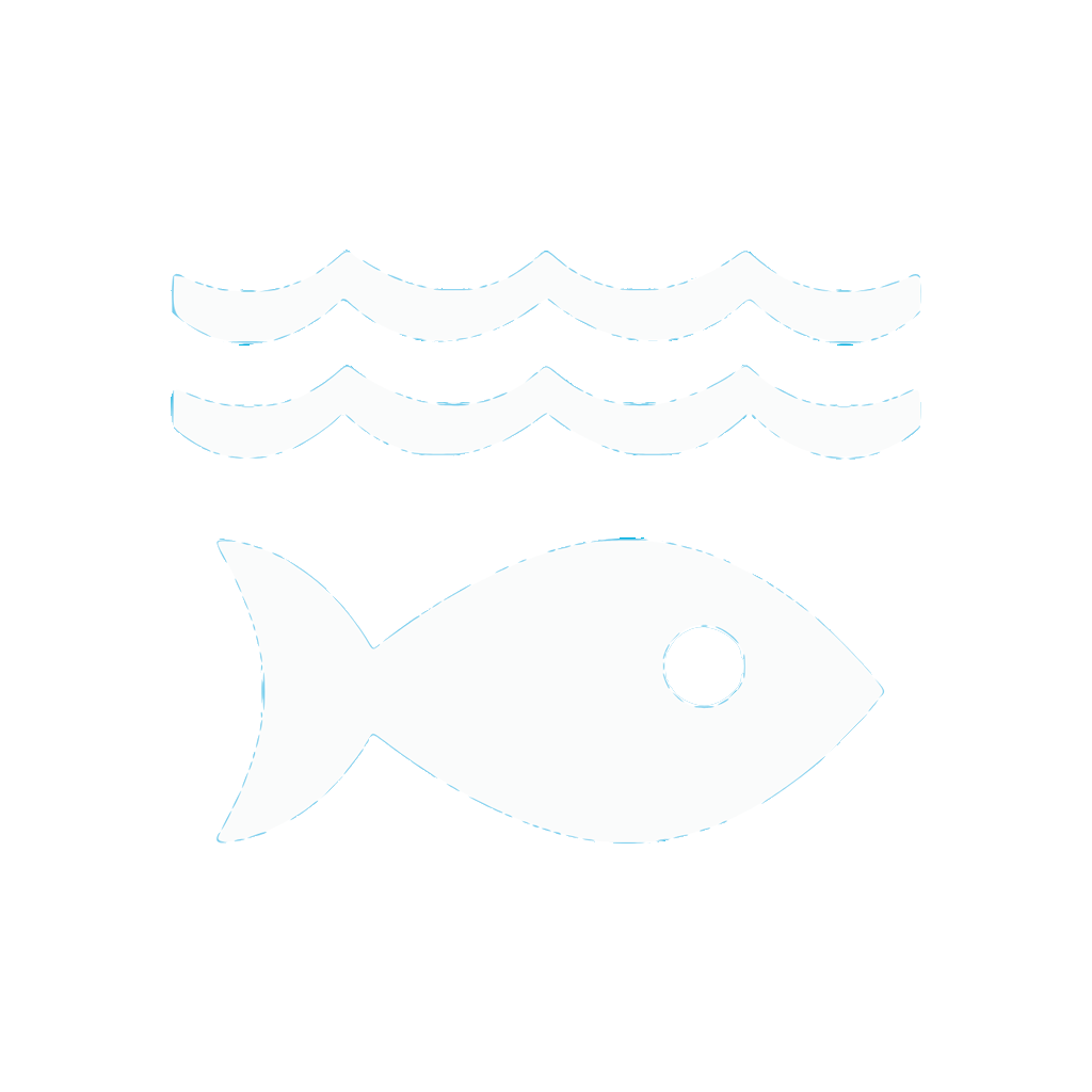 SDG 12